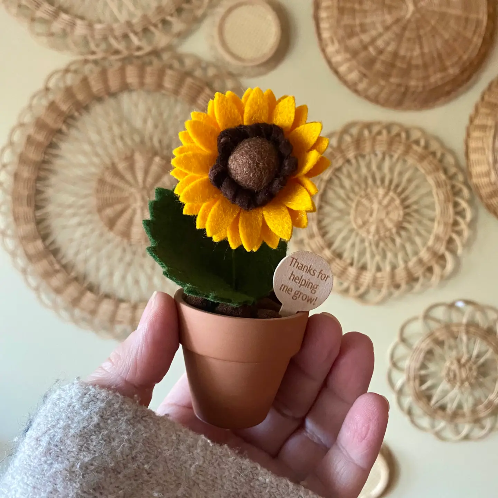 Thanks for Helping Me Grow - Felt Sunflower in Pot