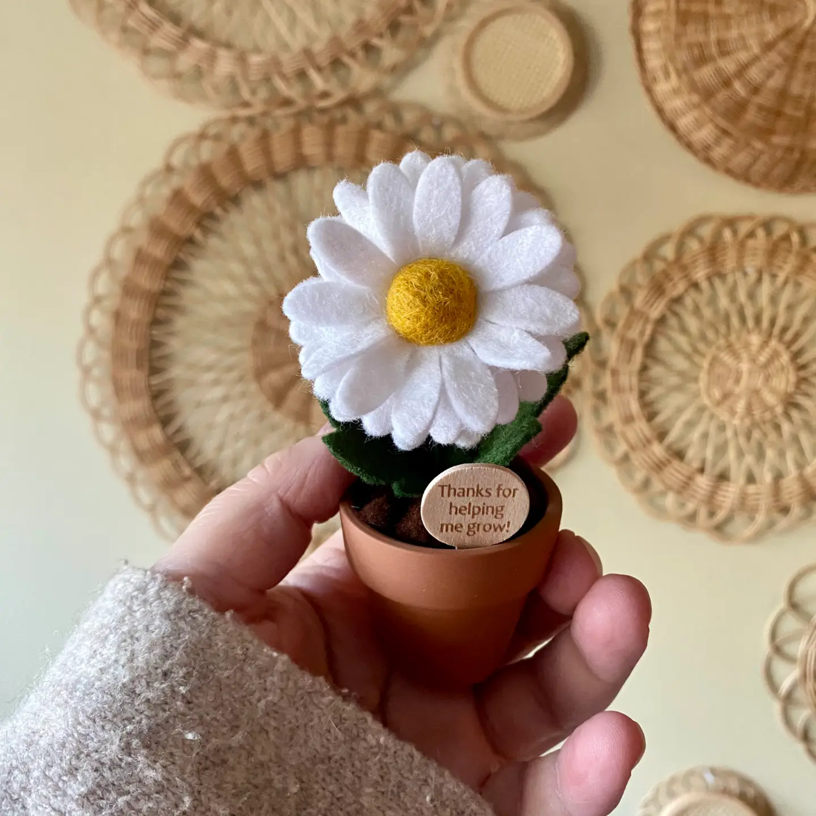 Thanks for Helping Me Grow - Felt Daisy in Pot