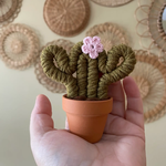 Mini Macrame Cactus w Pink Flower