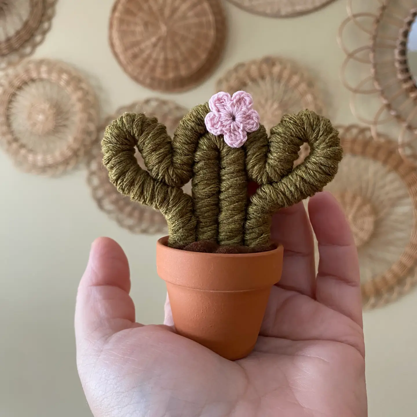 Mini Macrame Cactus w Pink Flower
