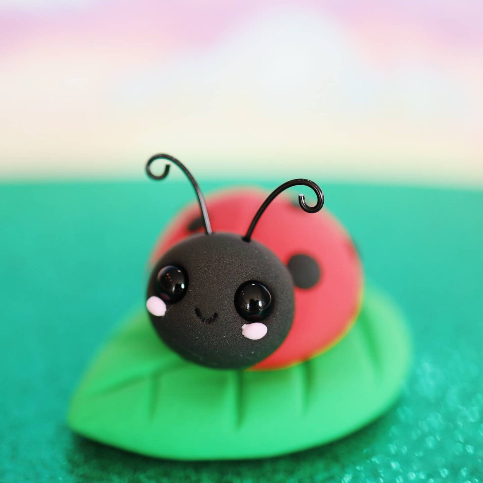 Ladybug DIY Air Dry Clay Kit
