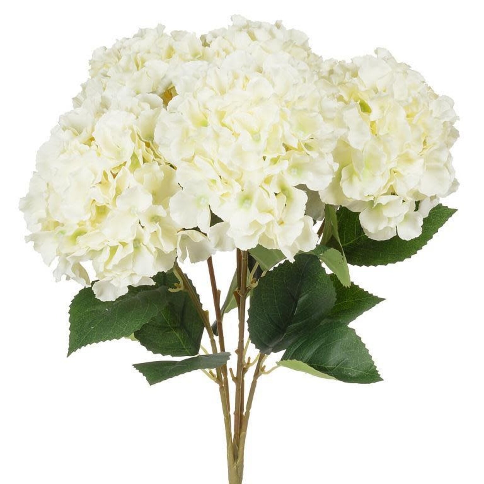 Large White Hydrangea Bouquet