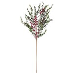 Eucalyptus & Berries Spray