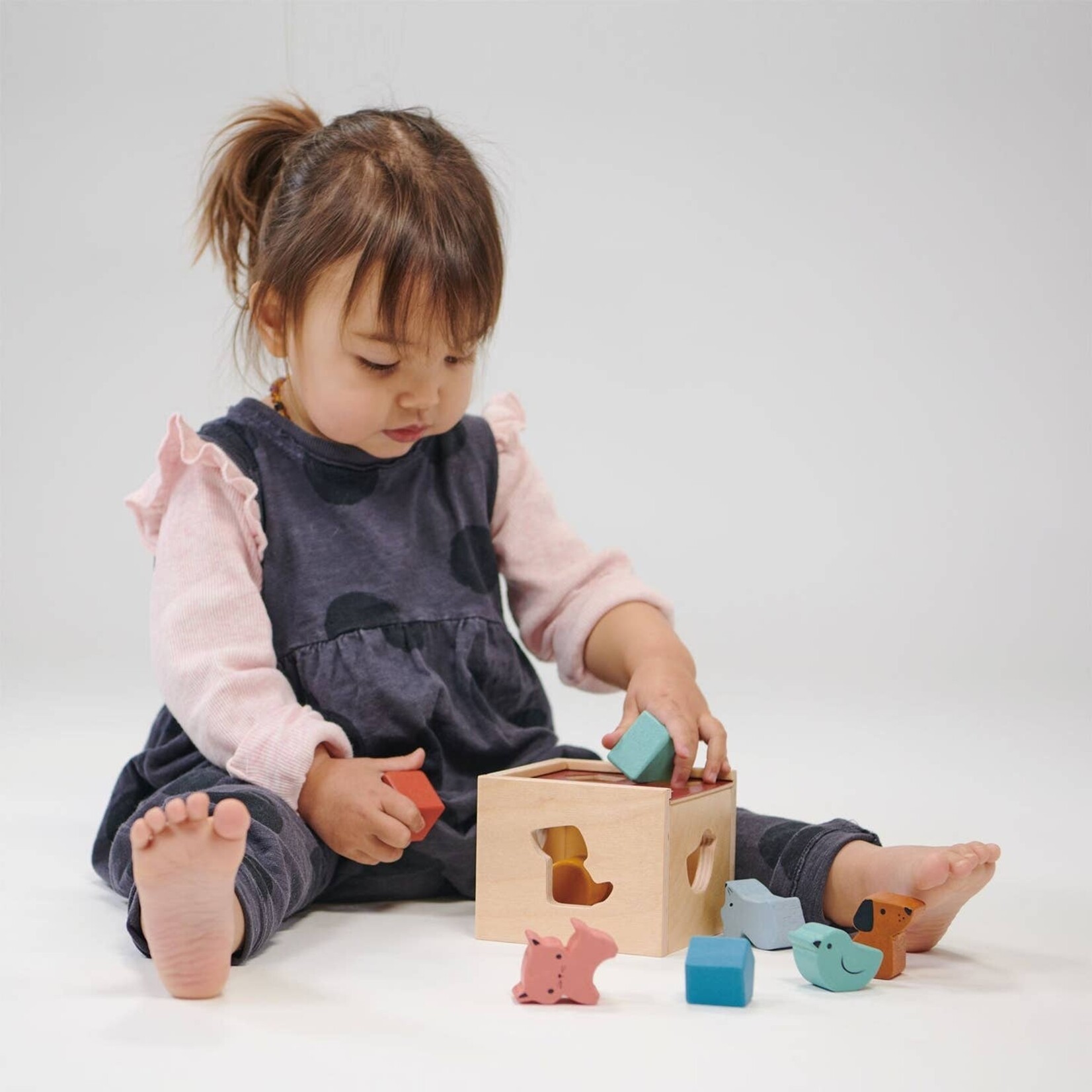 Wood Shape Sorting Cube
