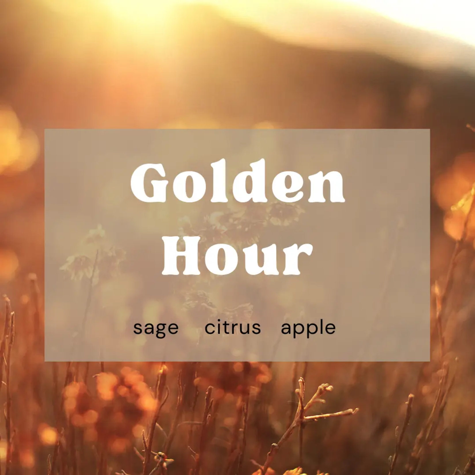 Golden Hour Body Butter