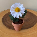 Felt Daisy in Pot