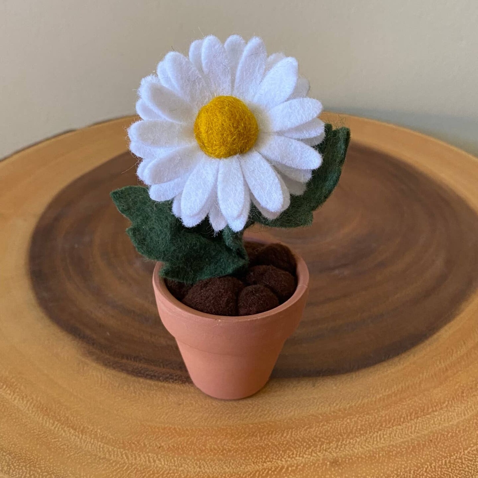 Felt Daisy in Pot