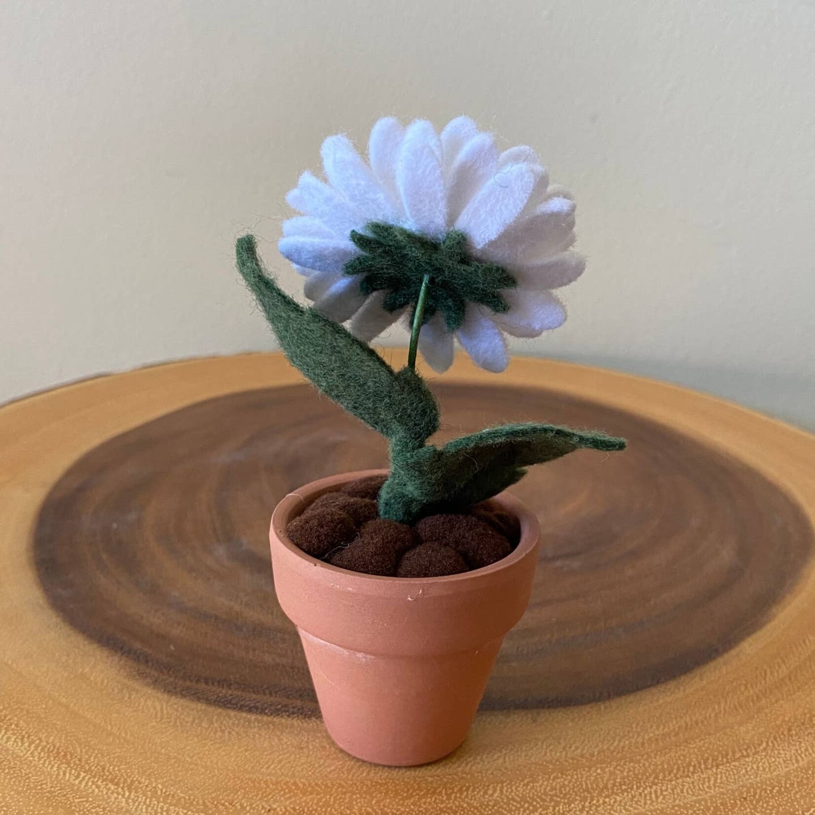 Felt Daisy in Pot