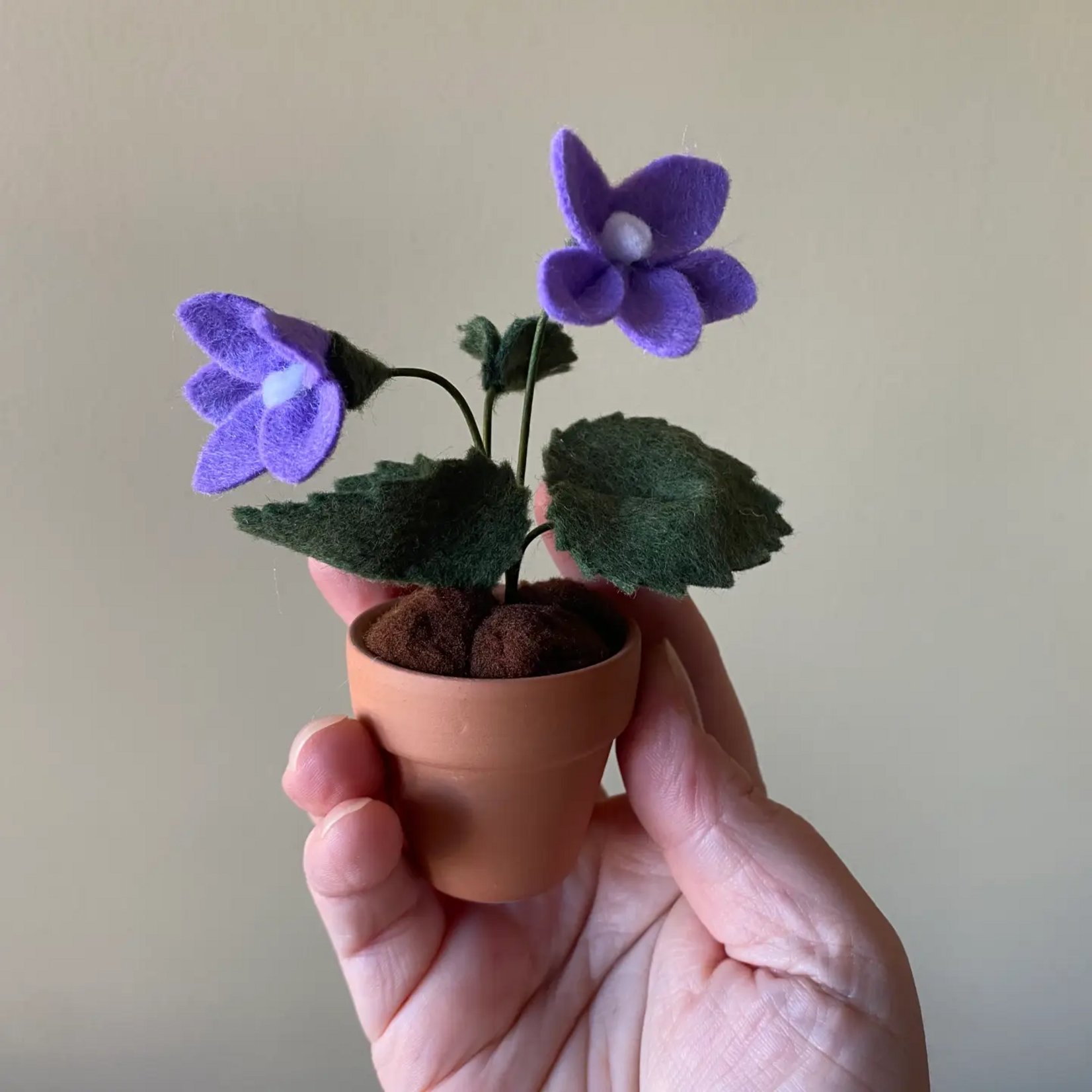 Felt Violet in Pot