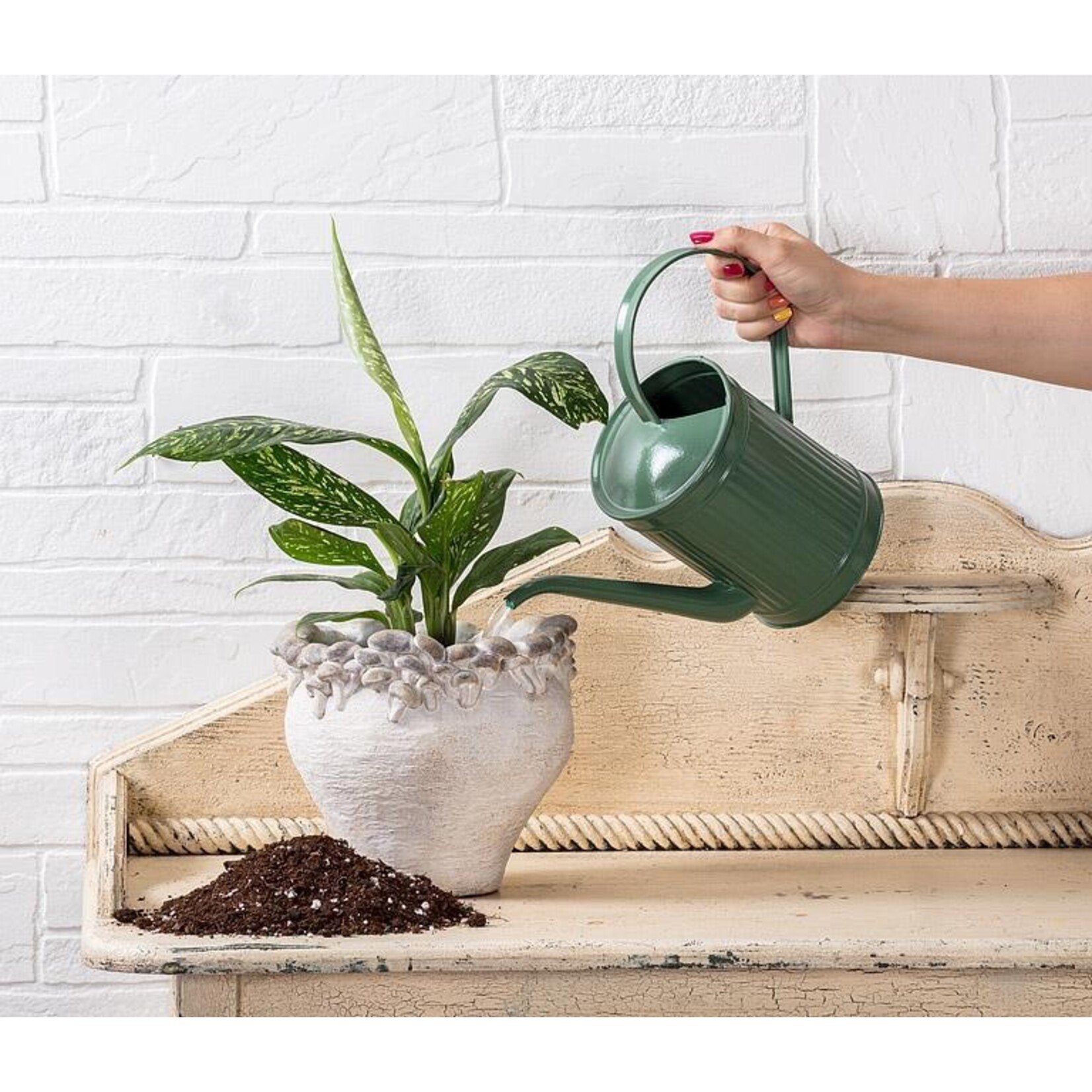 Classic Green Watering Can