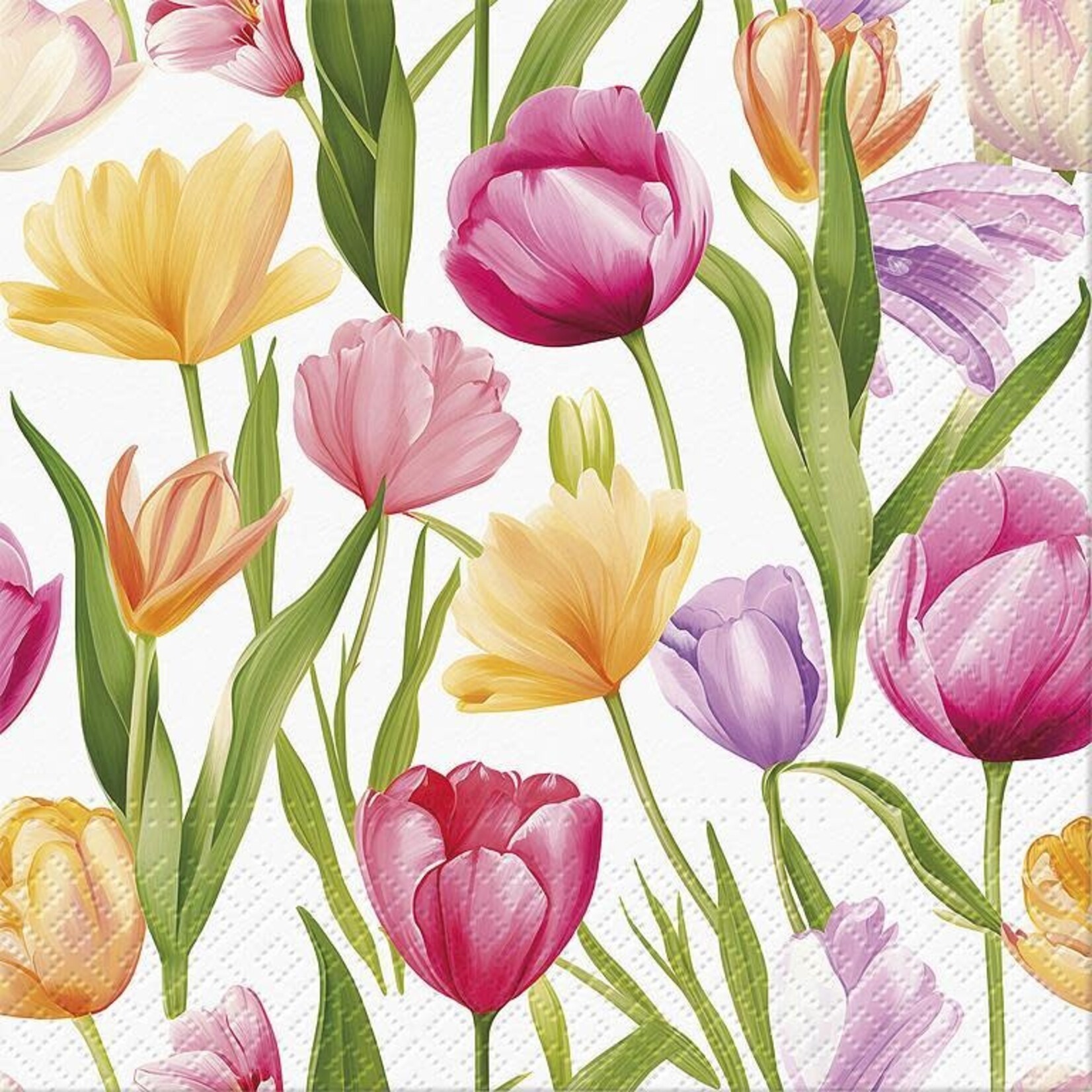 Tulip Dream Lunch Napkin