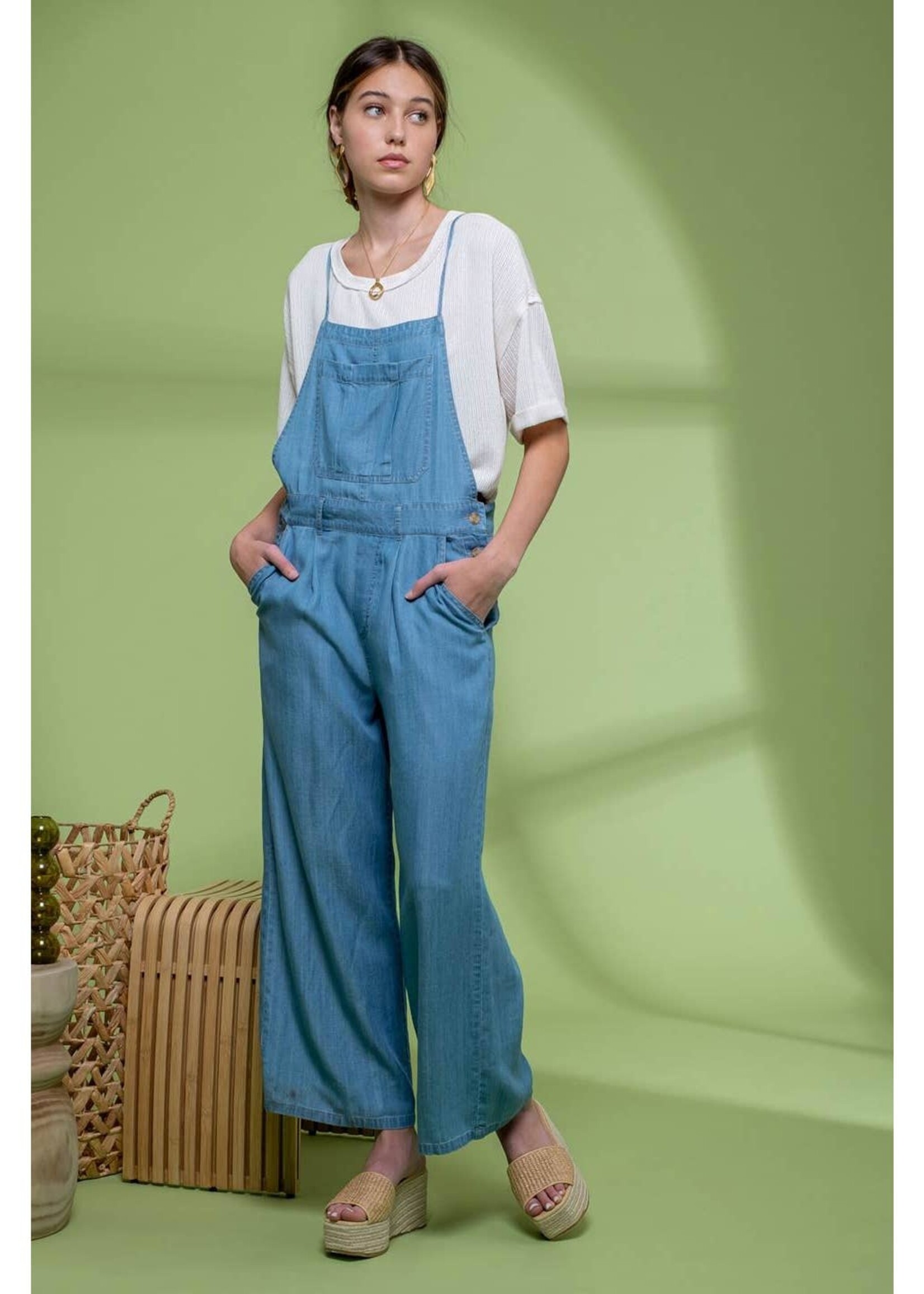 Joni Chambray Overalls