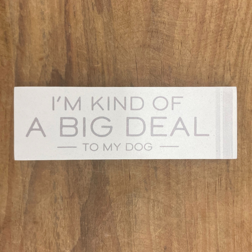 Magnetic Message Bar - Big Deal Magnetic Message Bar - Big Deal
