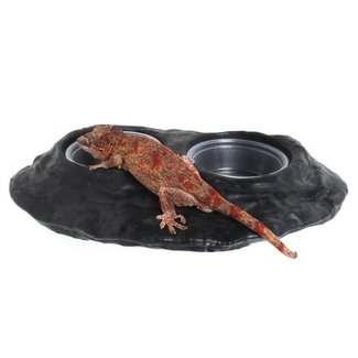 Pangea Ultimate Gecko Ledge (Magnetic)