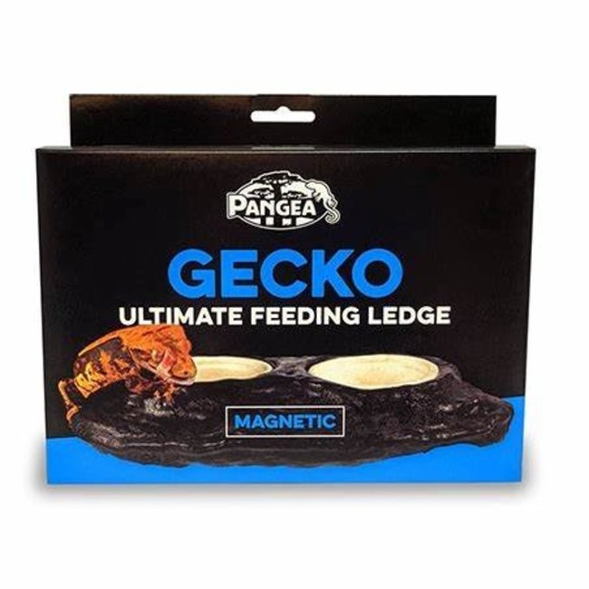 Pangea Ultimate Gecko Ledge (Magnetic)