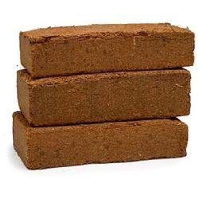 Zoo Med Zoo Med Eco Earth 3 Pack