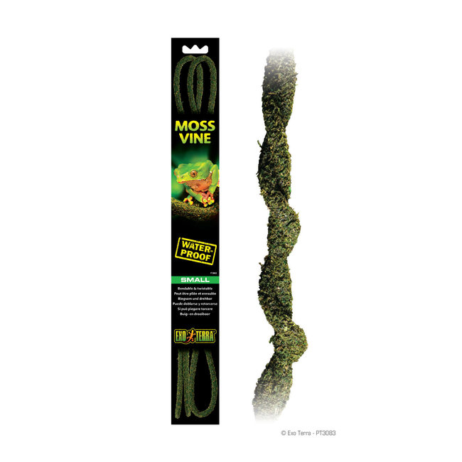 Exo Terra Moss Vine Small