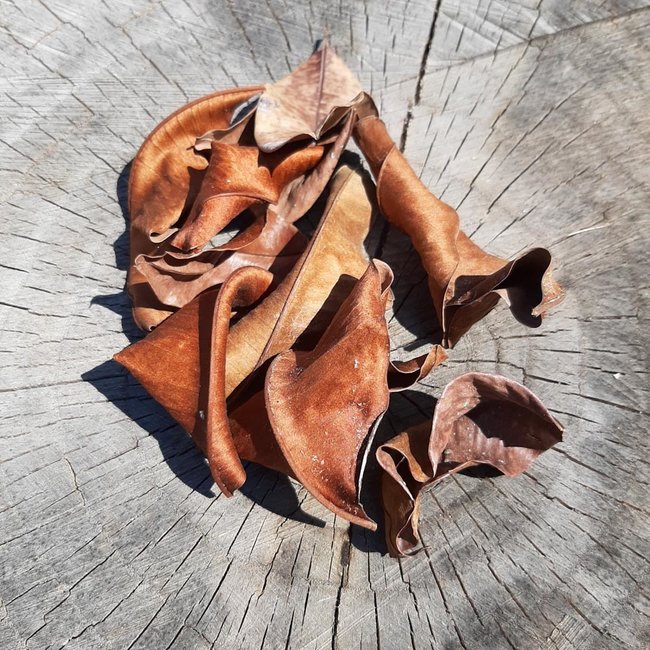 Roonami Kiri Palu Leaves 10 Pack