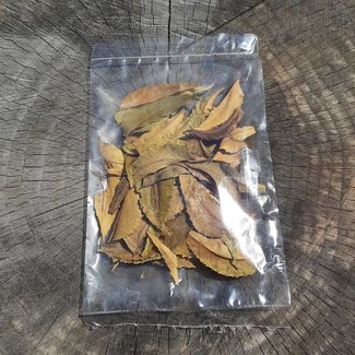 Neem (Kohomba) Leaves Neem (Kohomba) Leaves