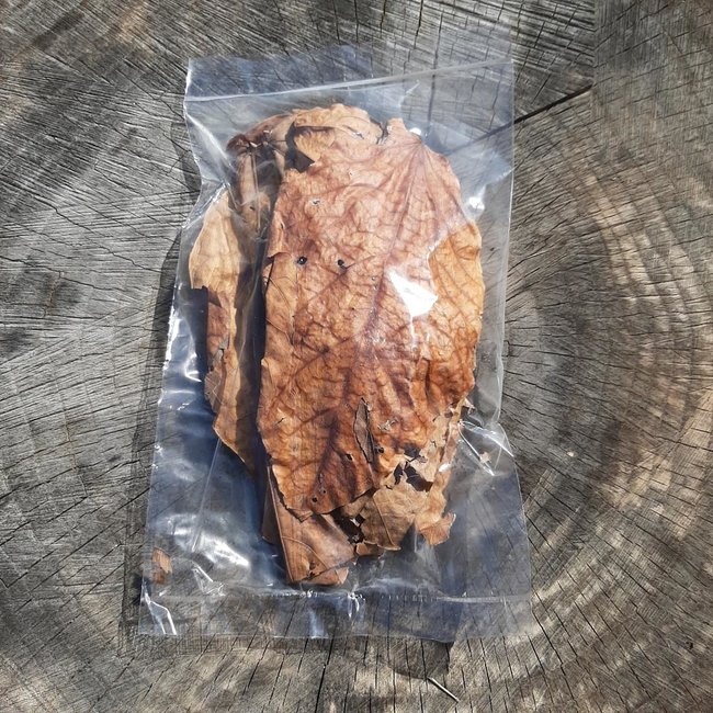 Roonami Mahogany Leaves (mixed sizes)