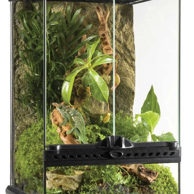Exo Terra Exo Terra Mini Tall Terrarium 12"x12"x18"