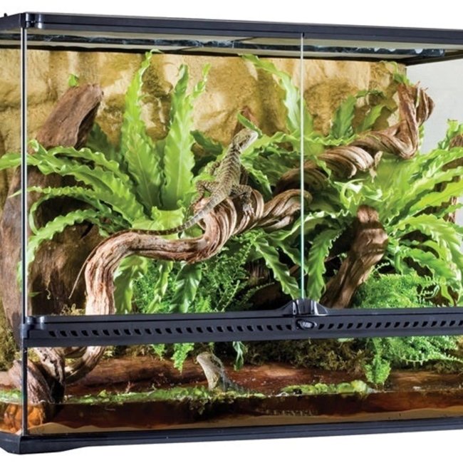 Exo Terra Exo Terra Terrarium Large 36" x 18" x 24"
