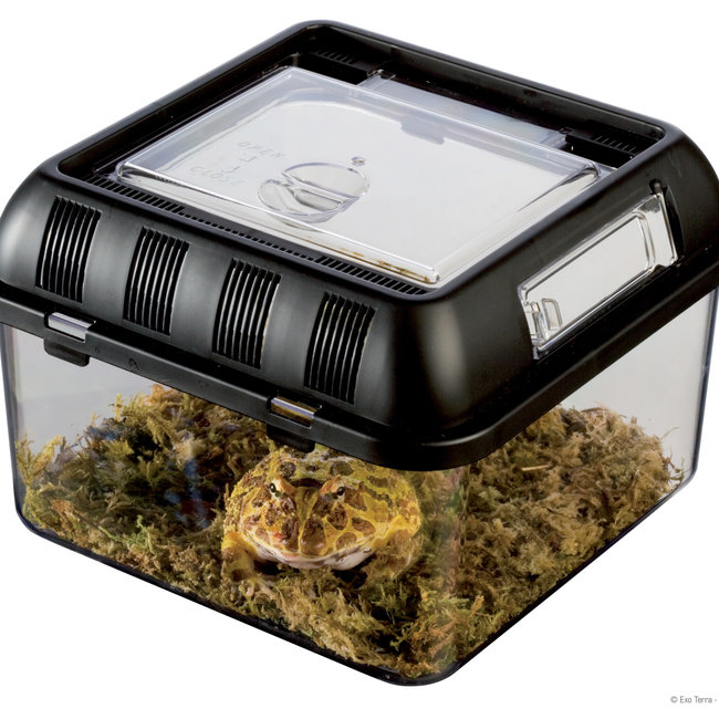 Exo Terra Breeder Box