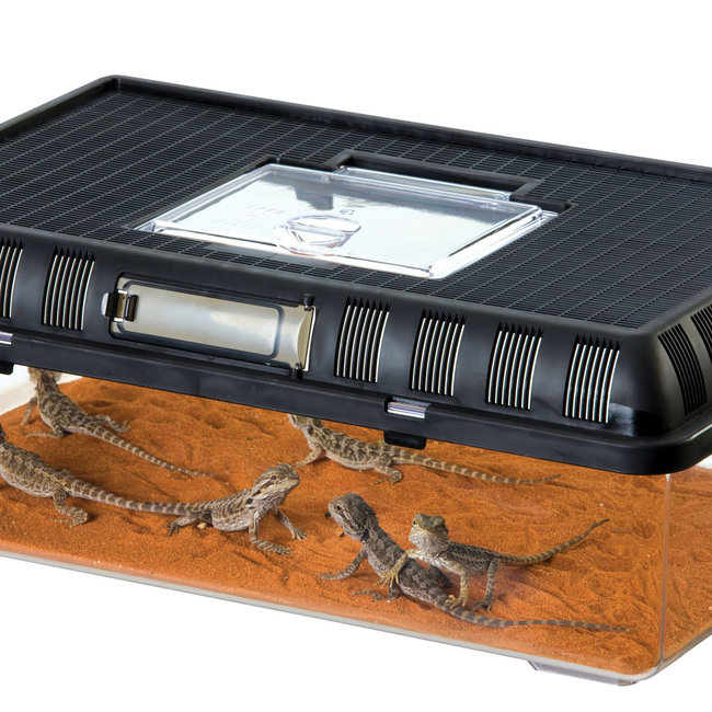 Exo Terra Breeder Box