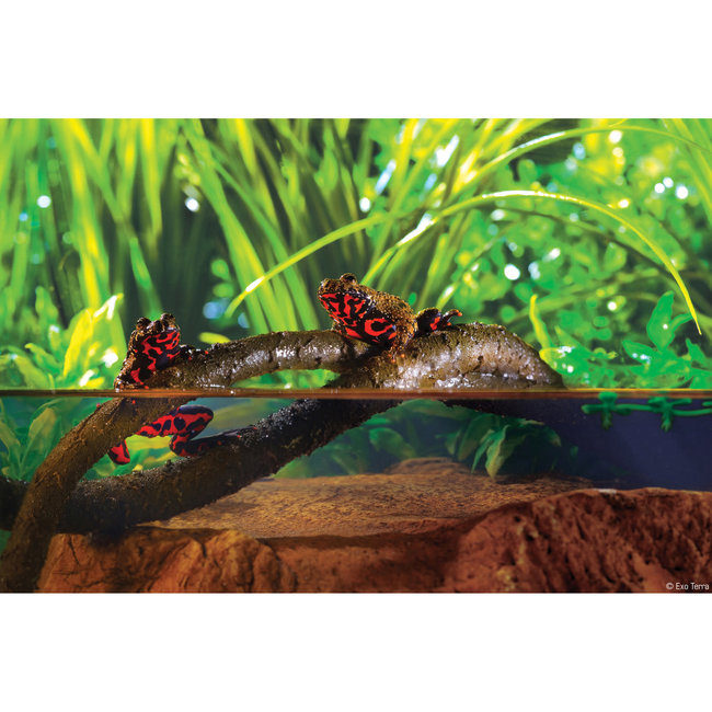 Exo Terra Jungle Vines Small