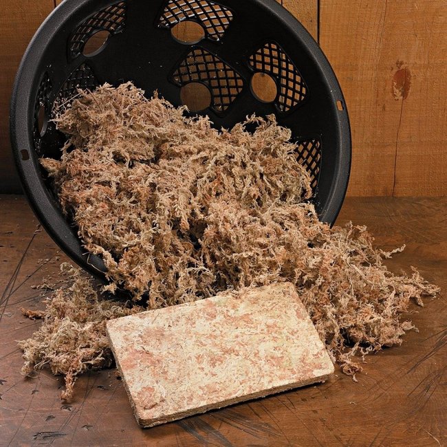Besgrow Long Sphagnum Moss 8L/ 100g Compressed