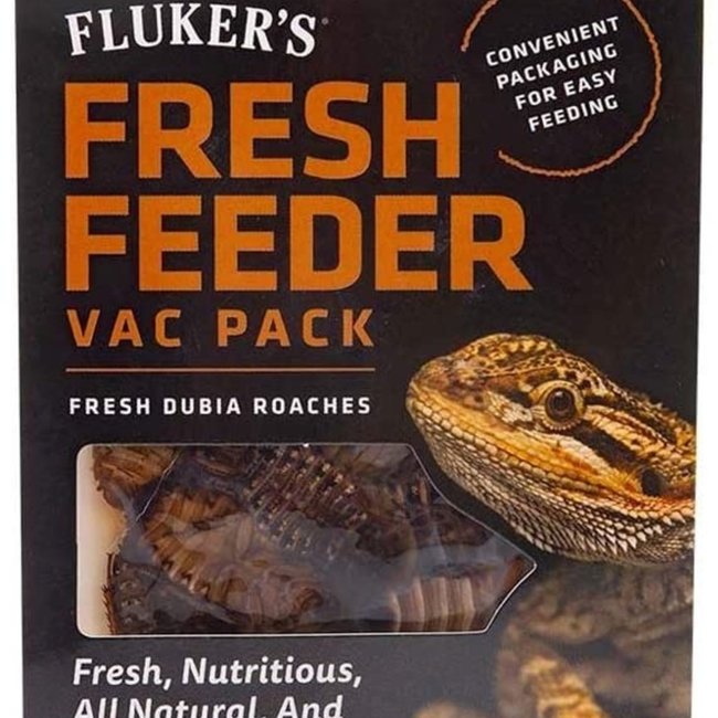 Feeder Fluker's Dubia Roaches 0.7oz