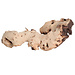 Natural Mopani Driftwood, Large