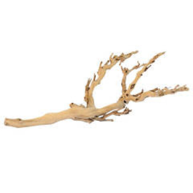 Exo Terra Forest Branch, Medium