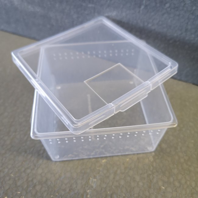 Vented Square Container with Lid