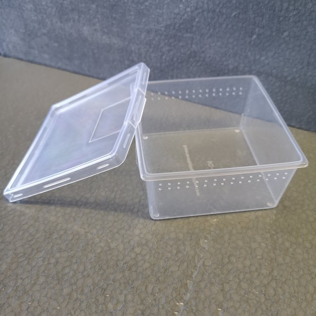 Vented Square Container with Lid