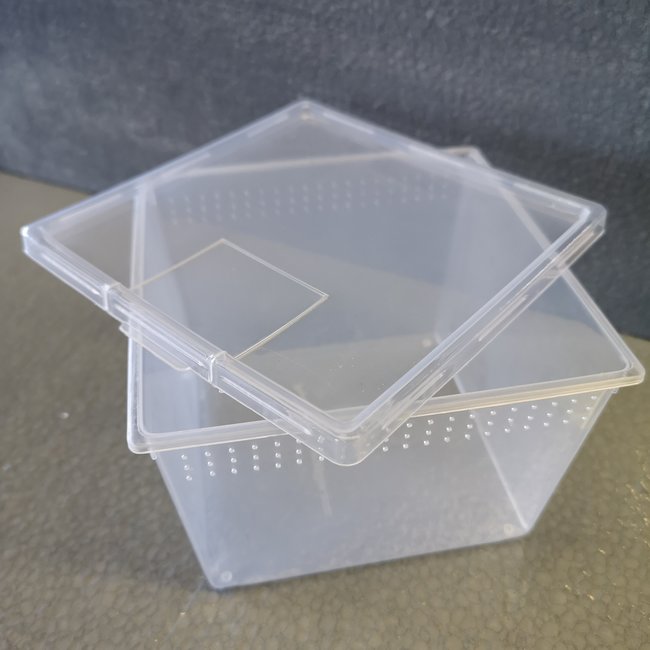 Vented Square Container with Lid