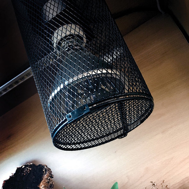 Arcadia Pro Ceramic Lamp Holder and Bracket Roonami