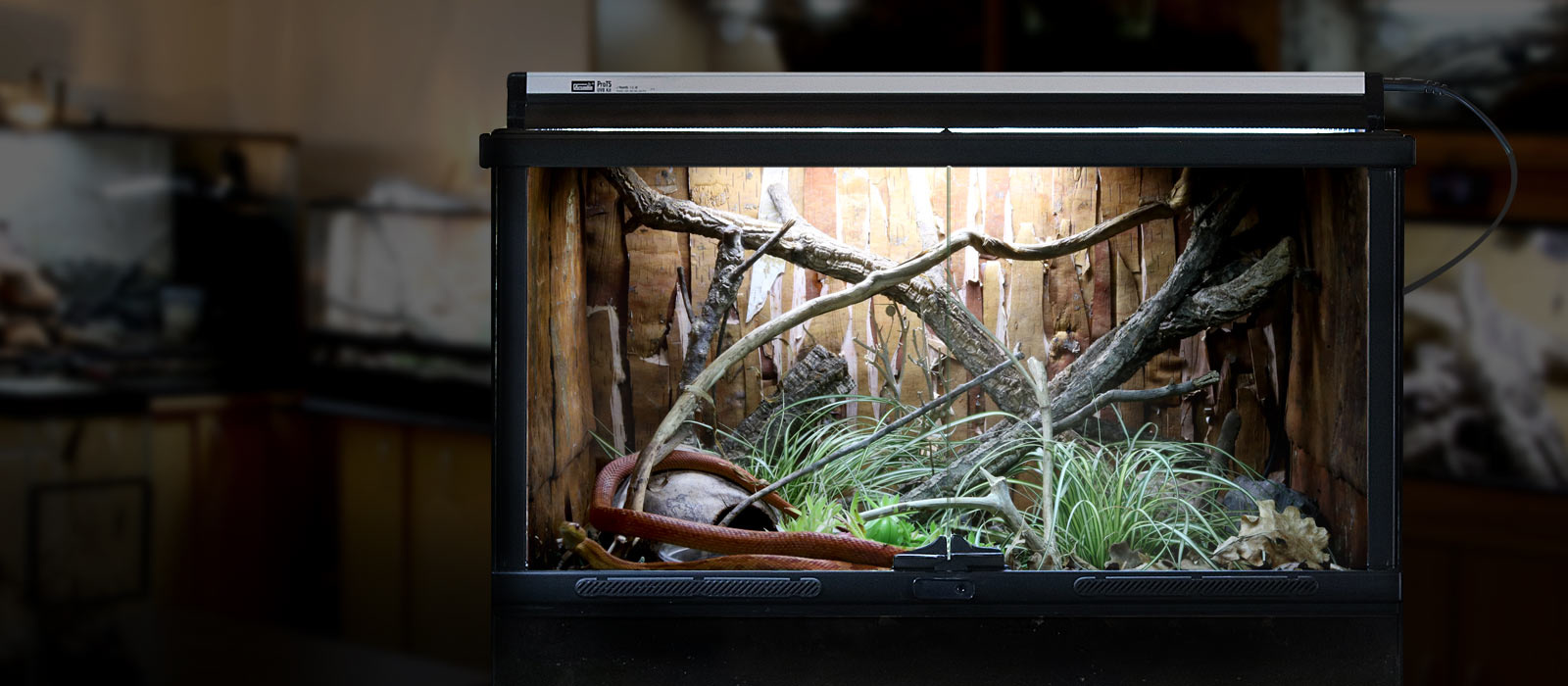 Arcadia ProT5 UVB 14 Dragon Lamp Kits Roonami