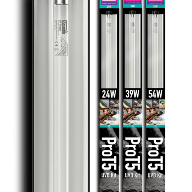 Arcadia Arcadia ProT5 UVB 14% Dragon Lamp Kits