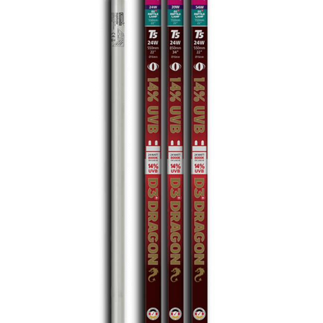 Arcadia Arcadia ProT5 UVB 14% Dragon Lamp Kits