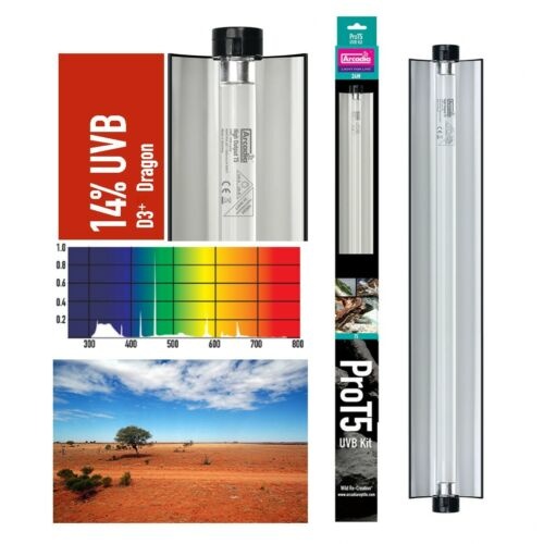 arcadia t5 uvb 14