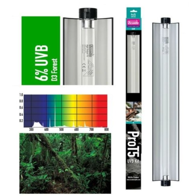 Arcadia ProT5 UVB 6% Forest Lamp Kits