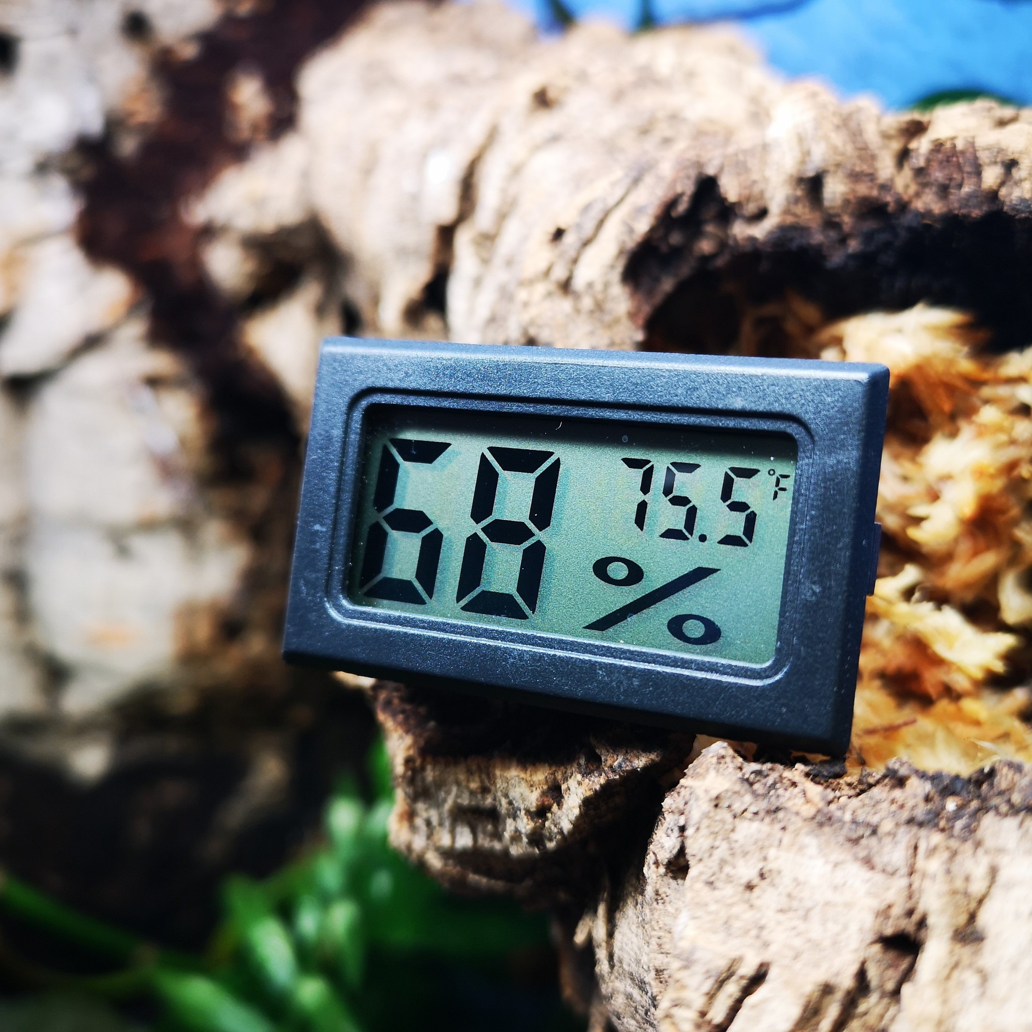 Repti Zoo 3-Channels Wireless Reptile Thermometer and Humidity Gauge Large Screen Display