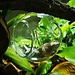 Hanging Hideout