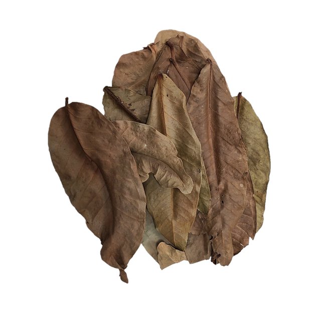 Jambu Leaves 10 Pack