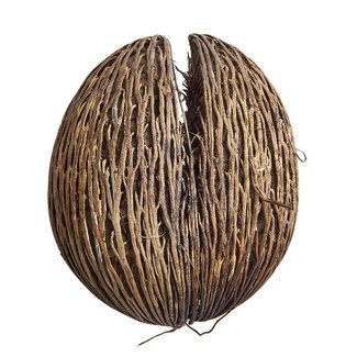 Sea Mango Seed 3 Pack Sea Mango Seed 3 Pack