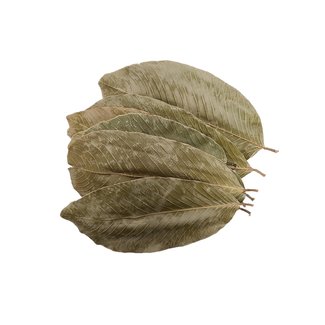 Roonami Kata Kela Tree Leaves