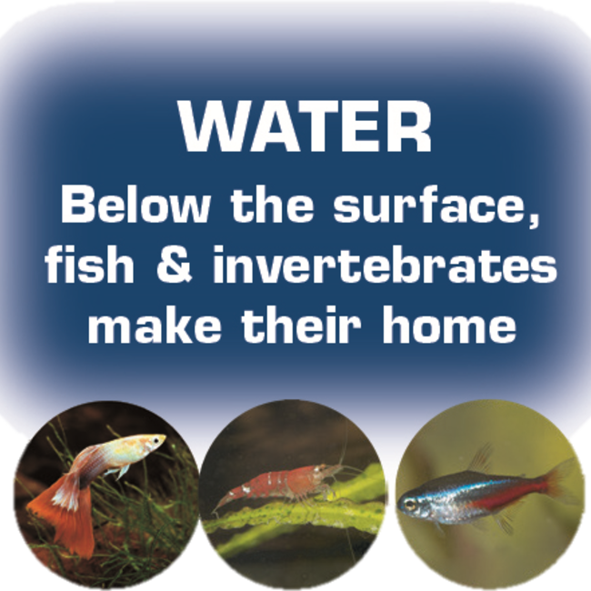 Zoo Med Zoo Med Paludarium/Terrarium 36" x 18" x 36"