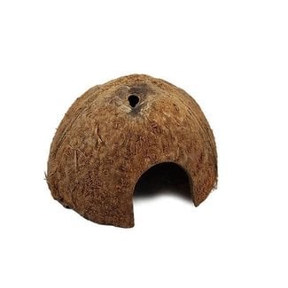 Jurassic Coconut Hut Hide Shell