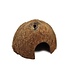 Jurassic Coconut Hut Hide Shell